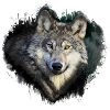 Wolf Love