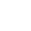 insects