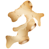 beautiful shiny fresh ginger tuber