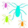 insects