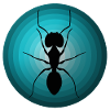Ants
