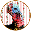 kitsch turkey