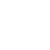 Ice crystal