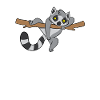 Cute Lemur Animal Kids Lemurs