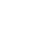 Erdwächter Wolf