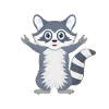 Raccoon rock music