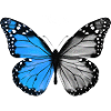 Battery Graphic