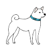Shiba Inu dog