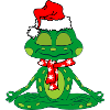 Meditation frog Christmas
