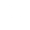 Freedom of the press