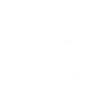 Modern flying dinosaur
