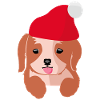 Joyeux Noël chiot