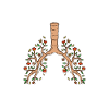 Terapia respiratoria Medicina pulmonar terapéutica