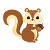 squirrel