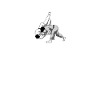 Judo