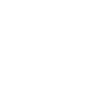 Lyon 1