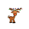 Reindeer