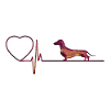 I love dachshunds