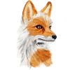 Majestic fox