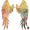Ailes d'ange 2 - energy art