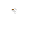 Labrador