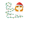 Guinea Pig Love Christmas