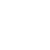 Turner Turnerin