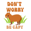 Capybara saying funny