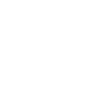 Elektro Auto - 100% Elektro