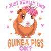 Guinea pig