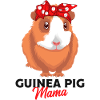 Guinea pig