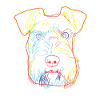 Bunte Schnauzer Hund