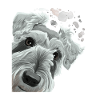 Curious Schnauzer Dog