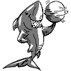 2020 11 30 shark with