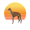 Greyhound Sun