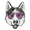 Husky cool