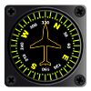 Aircraft Compass