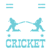 Cricket game