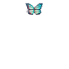 Glitch Butterfly Aesthetic - Butterfly