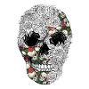 Cool skull