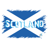 Scottish flag 2