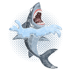 Shark