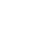 the coach
