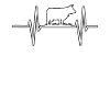 Farmers Agriculture Cows Cow