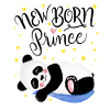 Newborn Prince: Baby Panda