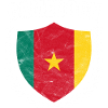 Cameroon Flag Africa Cameroun Gift