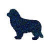 Newfoundland dog blue crystal