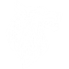 Viking white wolf