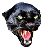 Black Panther