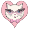 Chat cat